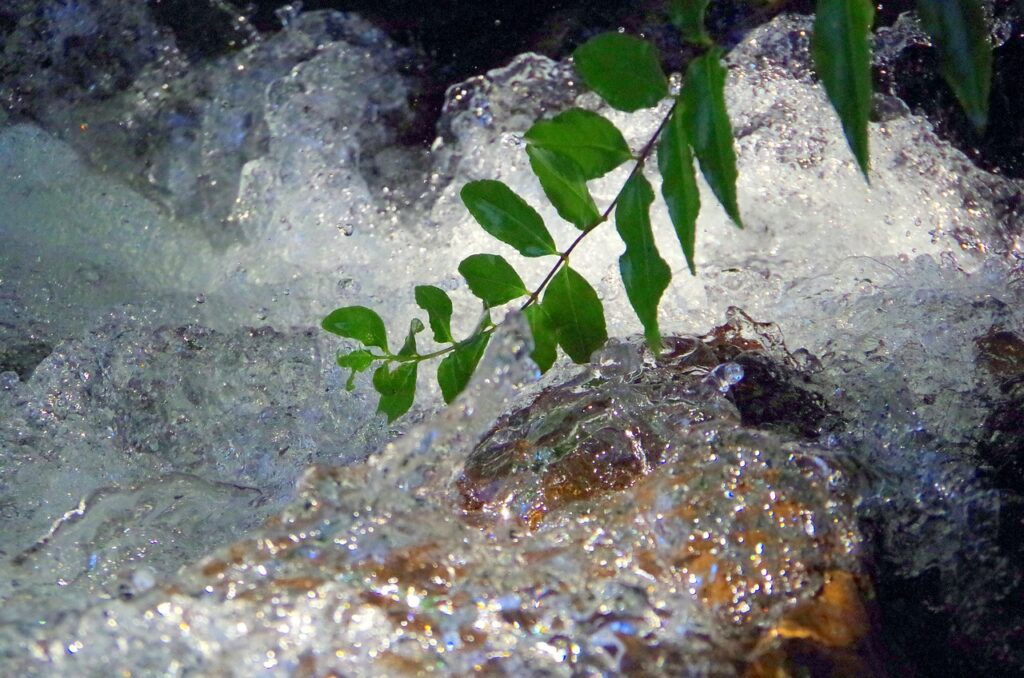 eau
